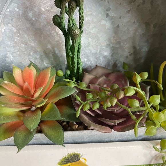 Metal Wall Planter with succulent - Picture 2 of 5